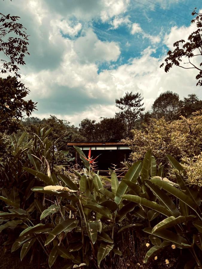 Glamping Salento Con Jacuzzi Climatizado Hotell Exteriör bild