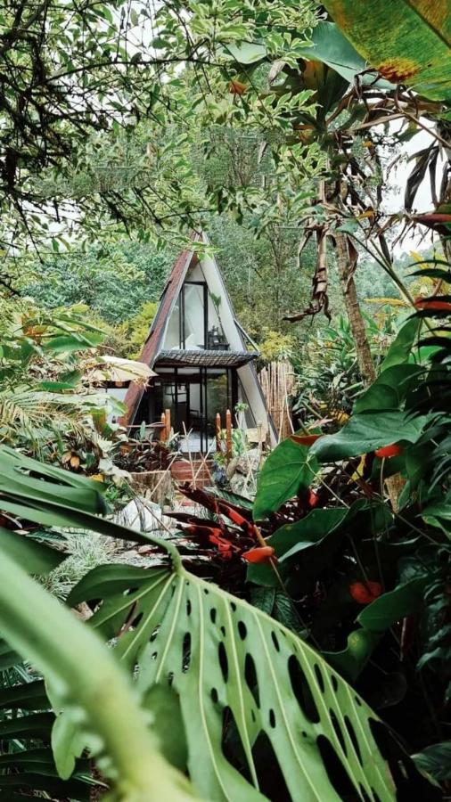 Glamping Salento Con Jacuzzi Climatizado Hotell Exteriör bild