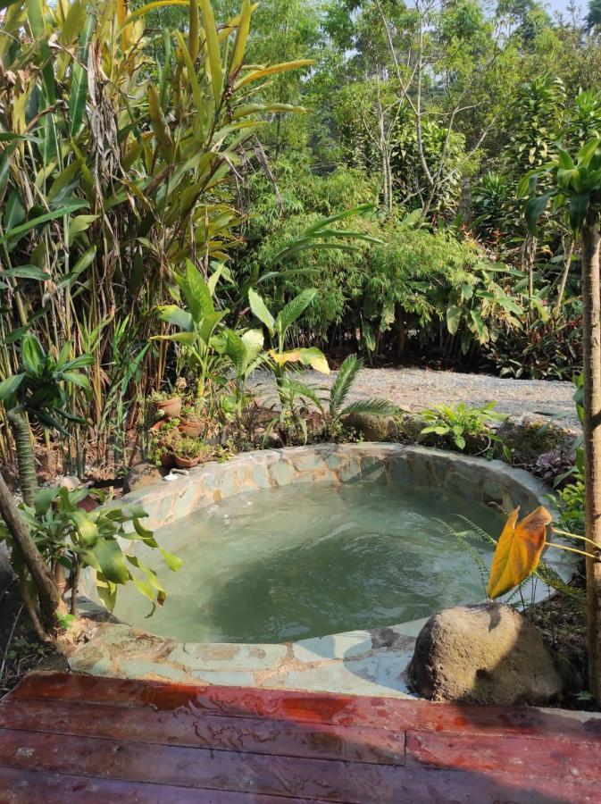 Glamping Salento Con Jacuzzi Climatizado Hotell Exteriör bild